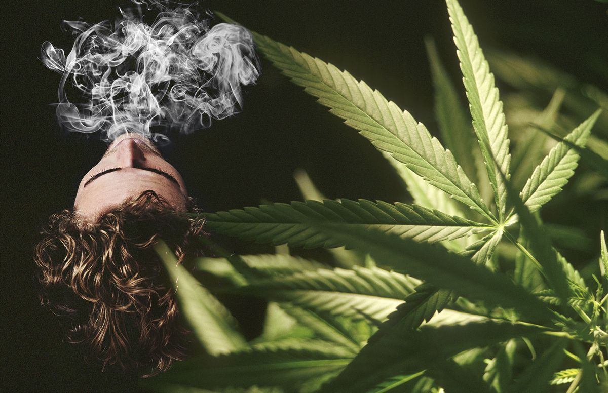 How Marijuana Affects The Brain