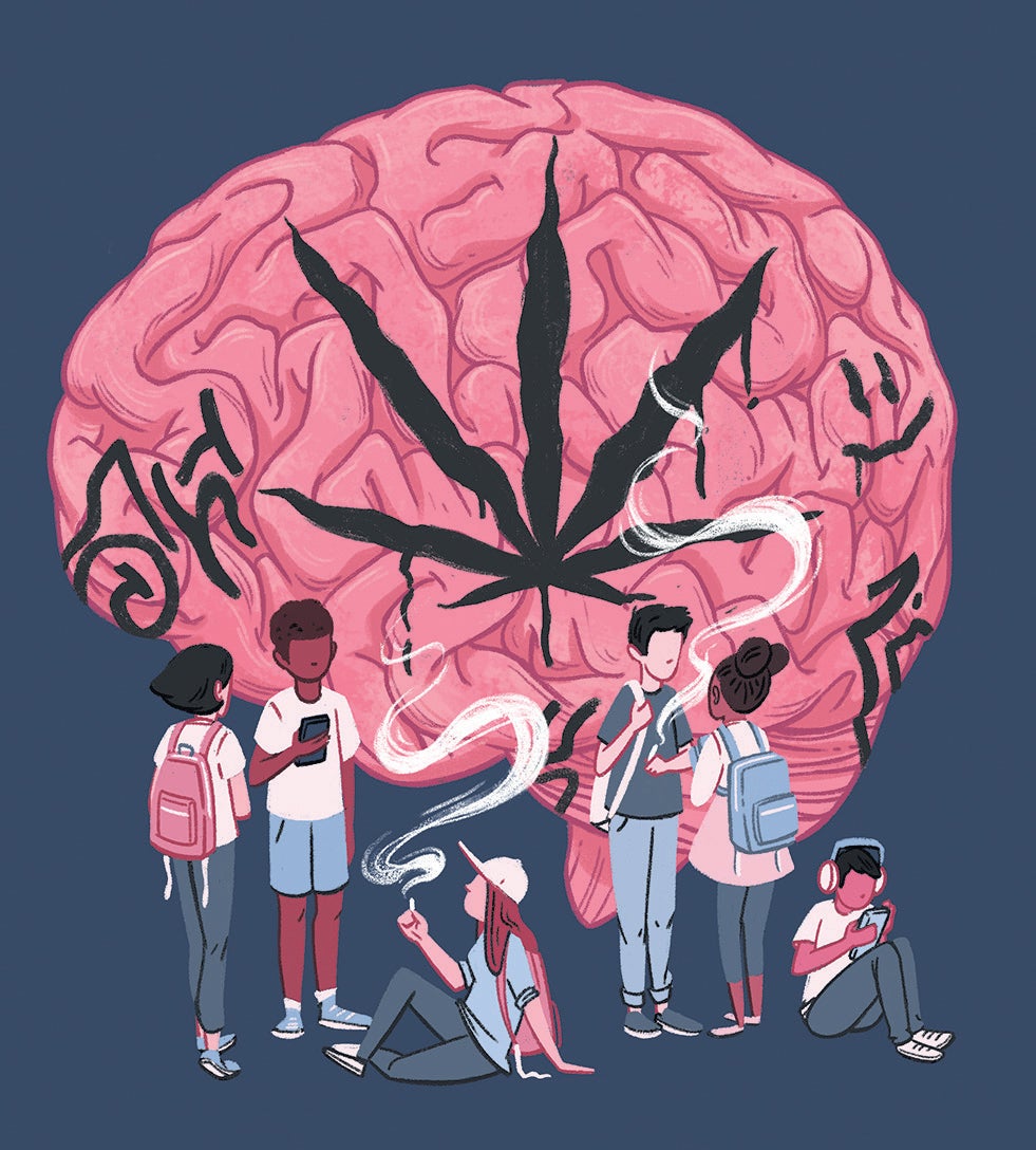 Long-Term Effects Of Marijuana On The Brain